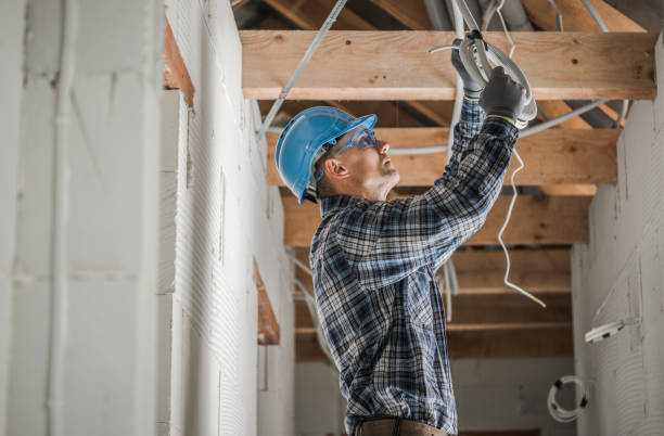 Best Electric Panel Repair  in , AL